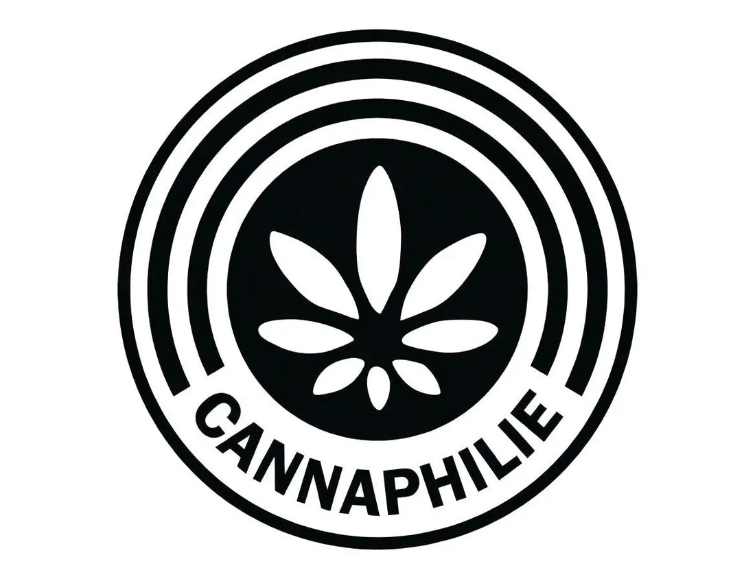 Die besten Cannabis-Samen 2026 – Unsere Top-Empfehlungen bei Cannaphilie