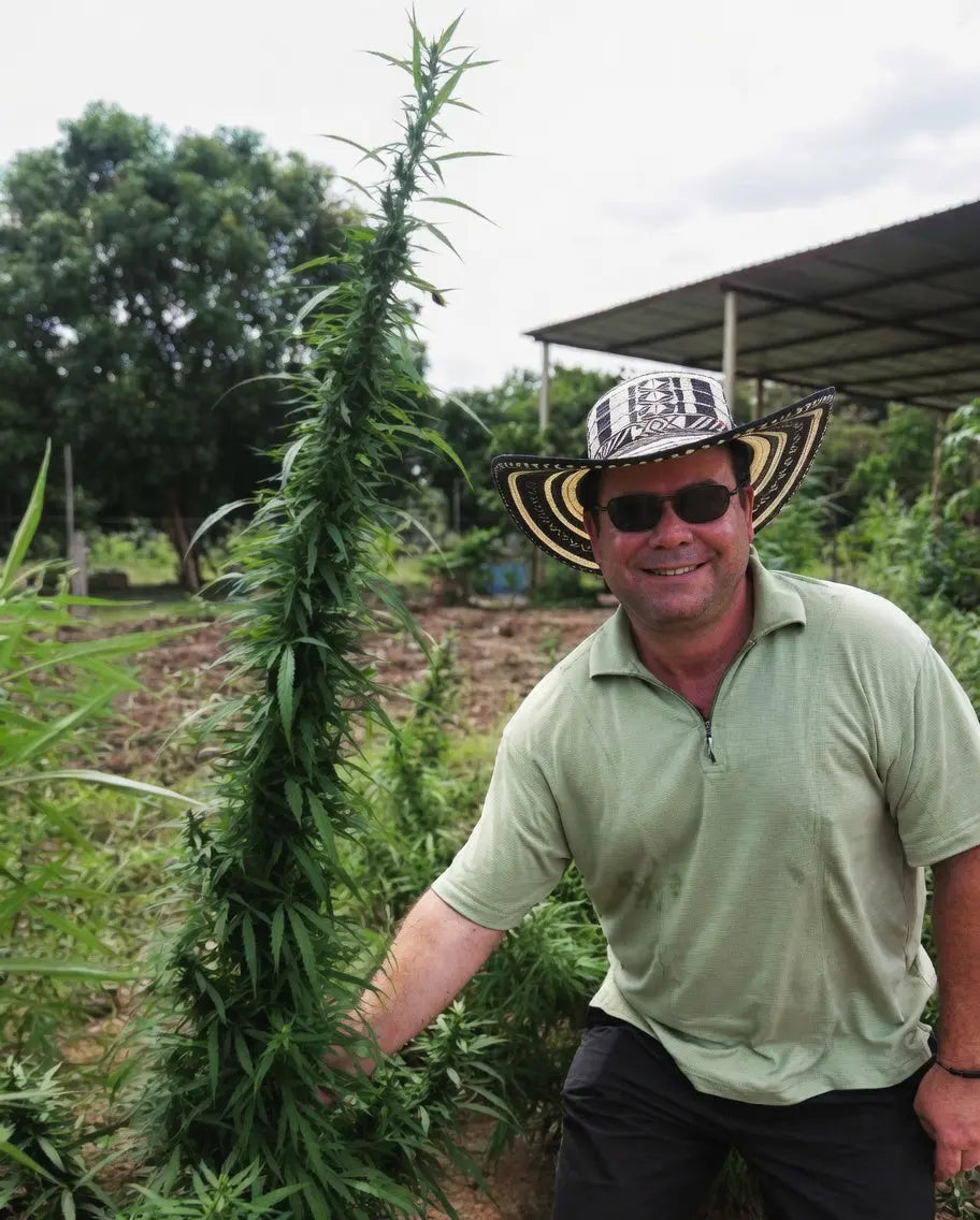 CANNAPHILIE ROOTED STORIES #006 / Breeder Steve 🌿