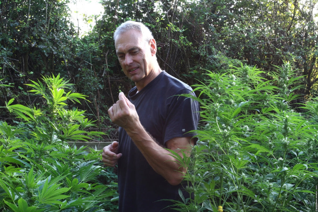CANNAPHILIE ROOTED STORIES #007 / Simon Smit 🌿